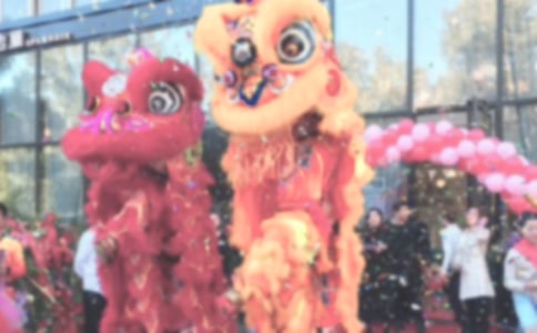 ���P��܇���_�I(y��)��Y�����o