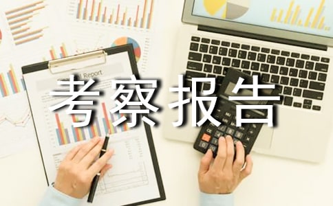 岳陽(yáng)縣油茶產(chǎn)業(yè)考察報(bào)告