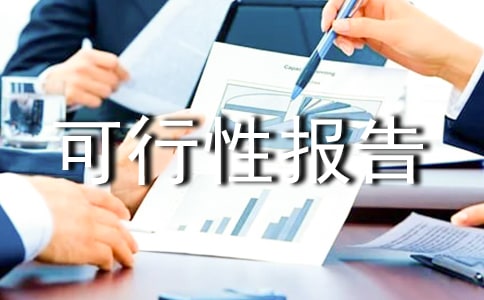 可行性報(bào)告書