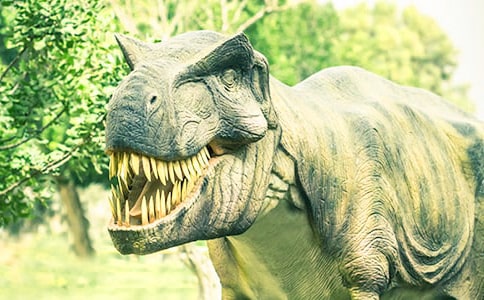 �����Ĝ�^�n�Ľ̌W�OӋ