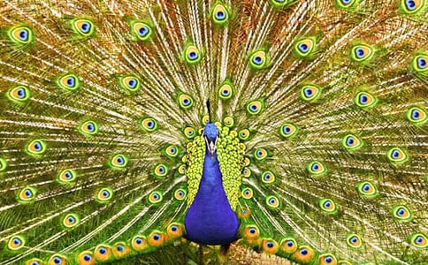 2023�꡶��ȸ�|���w���̌W(xu��)�O(sh��)Ӌ