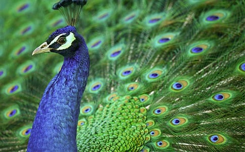 �������茑��ȸ�ă�(y��u)������8ƪ