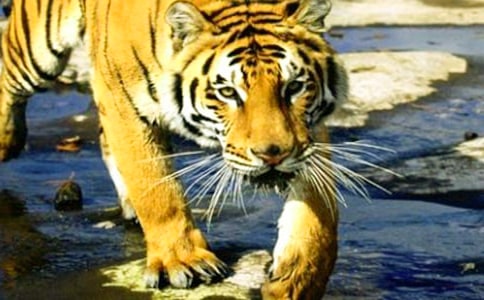 �ϻ��l(f��)֪ͨ����4ƪ