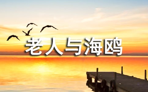 老人與海鷗教學(xué)課件模板
