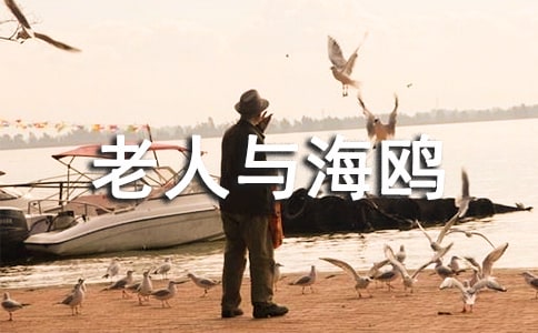 老人與海鷗教學(xué)課件