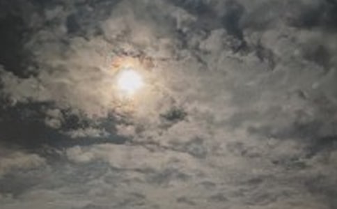 �����賿���c���x���