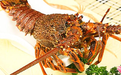 【必備】大龍蝦作文15篇