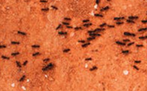 ��СΛρ���̌W(xu��)�O(sh��)Ӌ(j��)