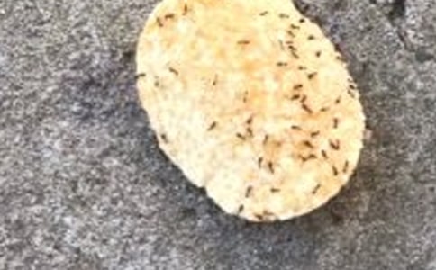 ��СΛρ���̌W(xu��)�O(sh��)Ӌ(j��)����