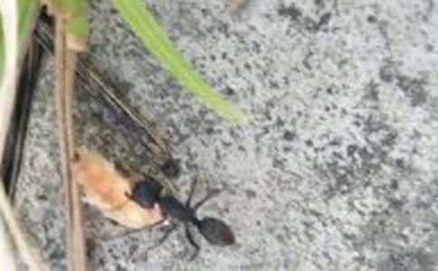 һ�꼉(j��)���g(sh��)�σ�(c��)���ڄڵ�Λρ���̌W(xu��)�O(sh��)Ӌ(j��)