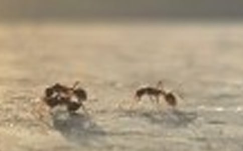 ��(hu��)�w��Λρ�̌W(xu��)�O(sh��)Ӌ(j��)