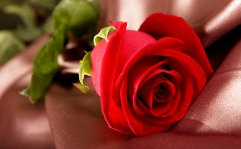 �P(gu��n)��������õ�廨���ģ����x10ƪ��