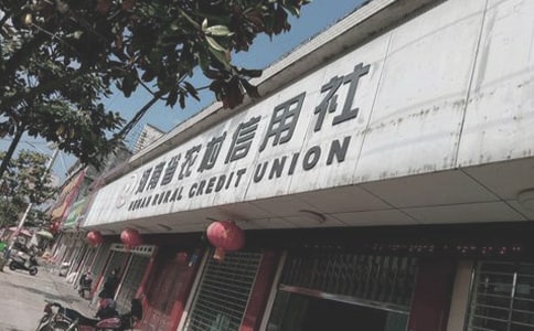 農(nóng)村信用社信貸工作總結(jié)