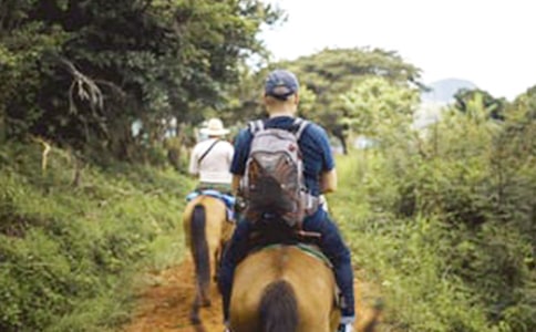 有關(guān)第一次騎馬作文