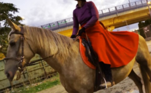 【熱門】第一次騎馬作文六篇