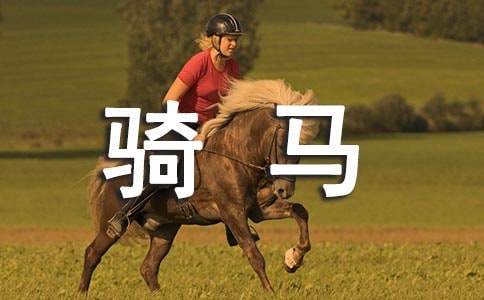 �����T����һ���T�R���ĺϼ�9ƪ