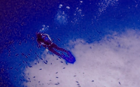 ���Ý�ˮ������ˮ�ˆT��ͬ����