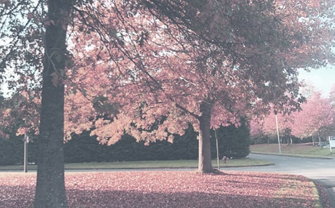 �＾�̌W(xu��)����Ӌ(j��)��