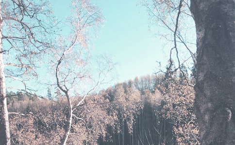 С�W(xu��)�＾�̌W(xu��)�̌W(xu��)Ӌ����ƪ