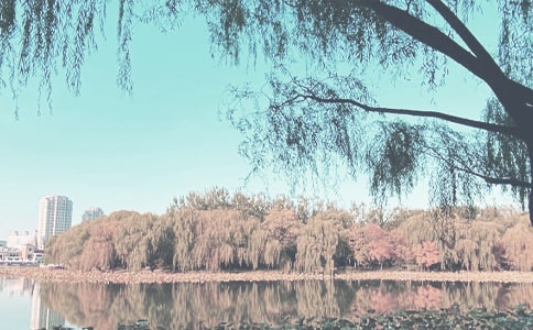 �＾ÿ��ף�������Z