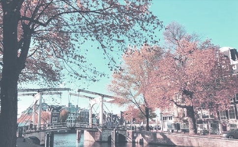 �＾����꠹������Y(ji��)