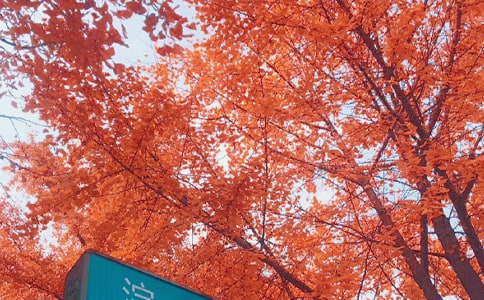 ���յĜ�ů�����S�P