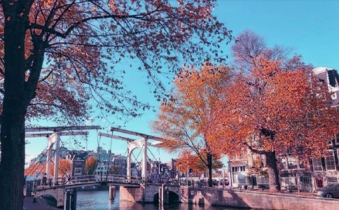 秋日游胭脂河800字作文