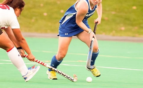 看曲棍球比賽600字作文(精選21篇)