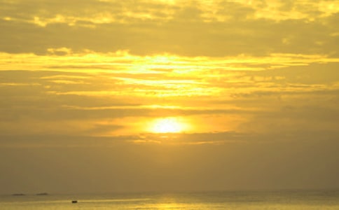 黃山日出小學(xué)作文