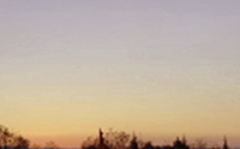 �����T����������������