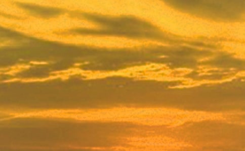 �P(gu��n)���������ˇ���ӣ����x310�䣩