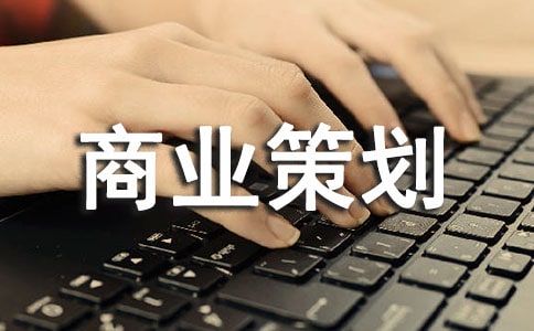 網(wǎng)絡(luò)營(yíng)銷商業(yè)策劃書范文