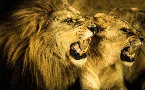 �{�Ӻ�¹�̌W(xu��)�O(sh��)Ӌ��ͨ��15ƪ��