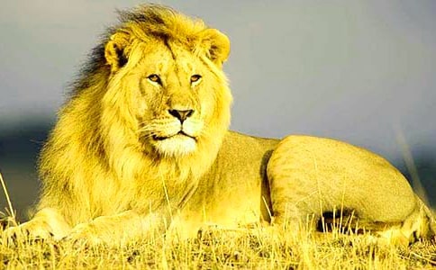 �{�Ӻ�¹�̌W(xu��)�O(sh��)Ӌ(j��)