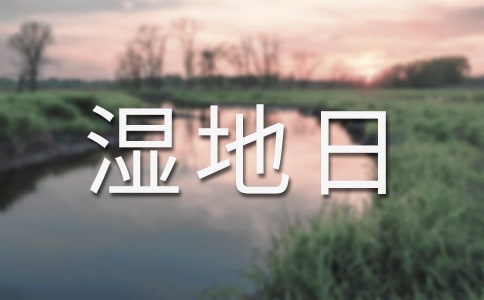 世界濕地日宣傳活動總結(jié)范文