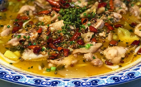 《食物在體內(nèi)的旅行》教學(xué)設(shè)計(jì)