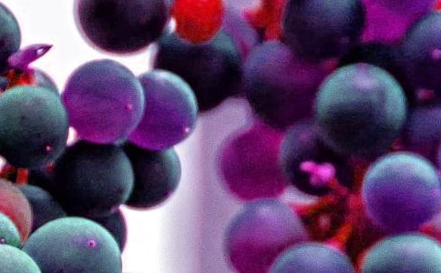 ˮ���I�u�ĺ�ͬ����