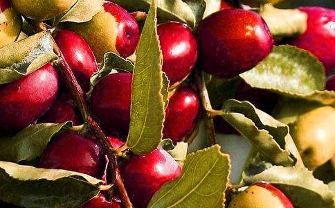 �Z(y��)�Ի��(d��ng)��ˮ���衷�̌W(xu��)�O(sh��)Ӌ(j��)