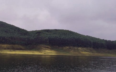 �����x��ˮ��(k��)����300��3ƪ