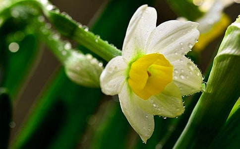 �����á�ˮ������300��9ƪ