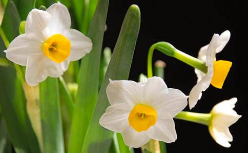 ˮ���^����ӛ���᡿