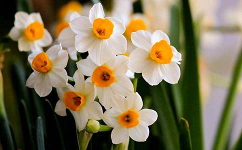 ˮ�ɻ��^����ӛ(�R��15ƪ)