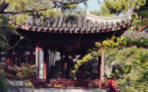 蘇州園林游記作文600字(通用20篇)