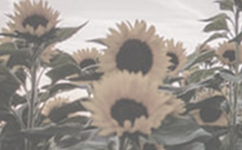 ������̫ꖻ����ġ����T��