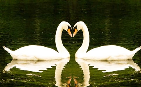 ���Z�����r�����~�f�n��