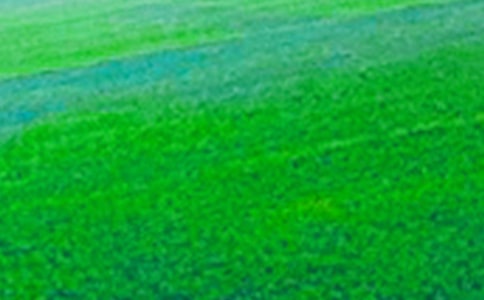 田野在召喚評課稿