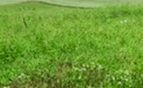 �����A����Ұ����600��3ƪ