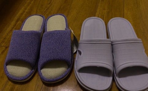 拖鞋大盜作文400字