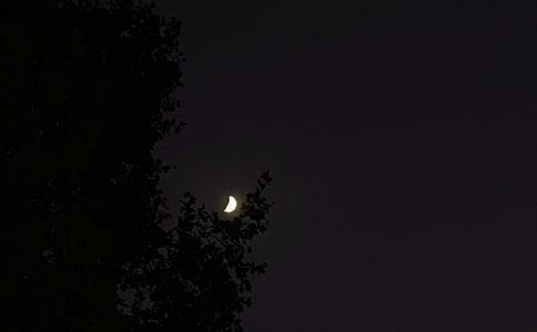 2023�����P������־�Z䛼���86��