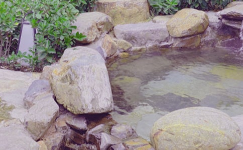 �ո��Ȫһ��������